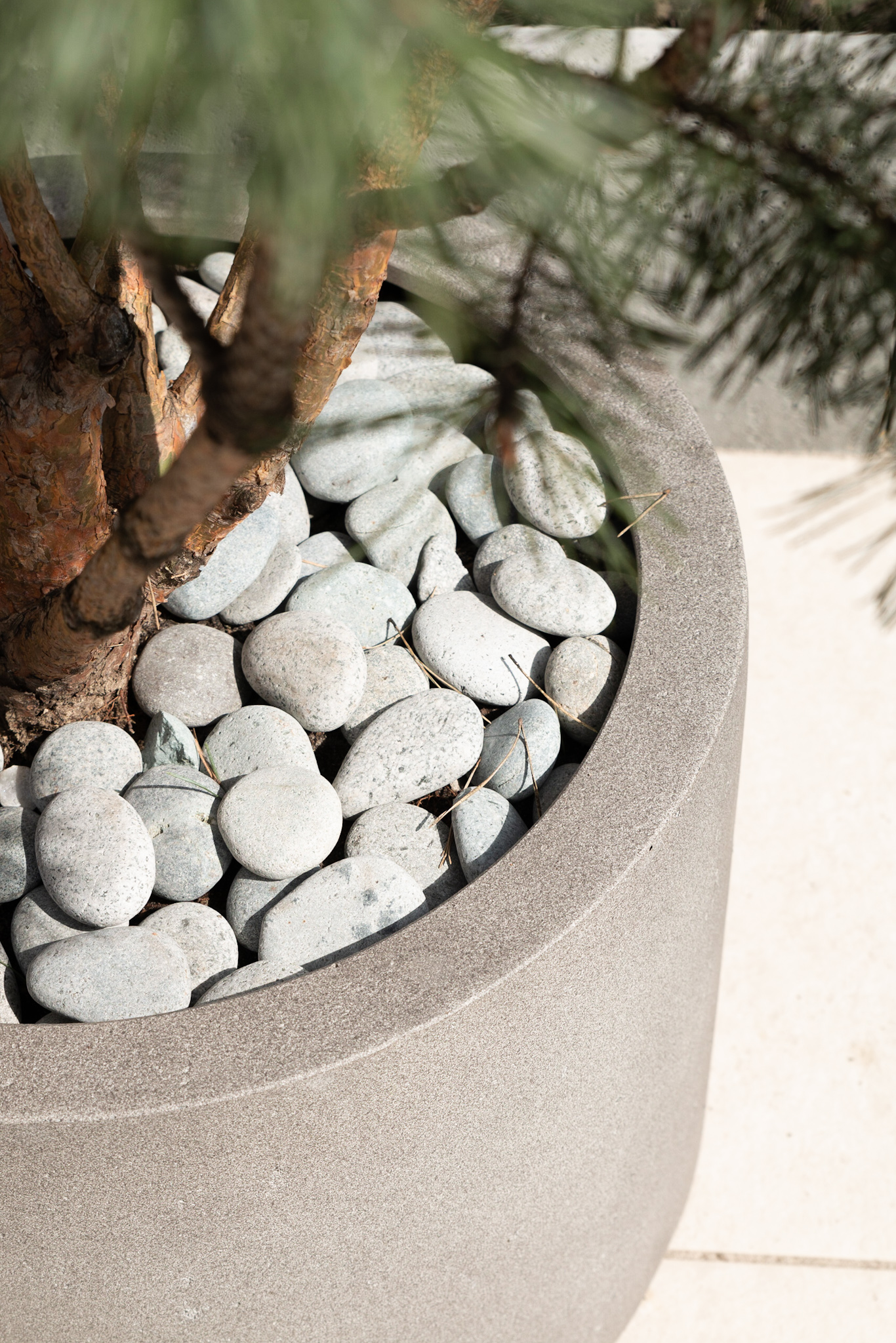 Grigio Cylinder 60 - Natural Concrete