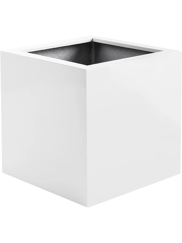 Argento Cube - Matt White