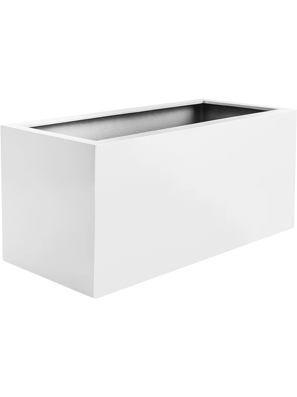 Argento Box - Matt White