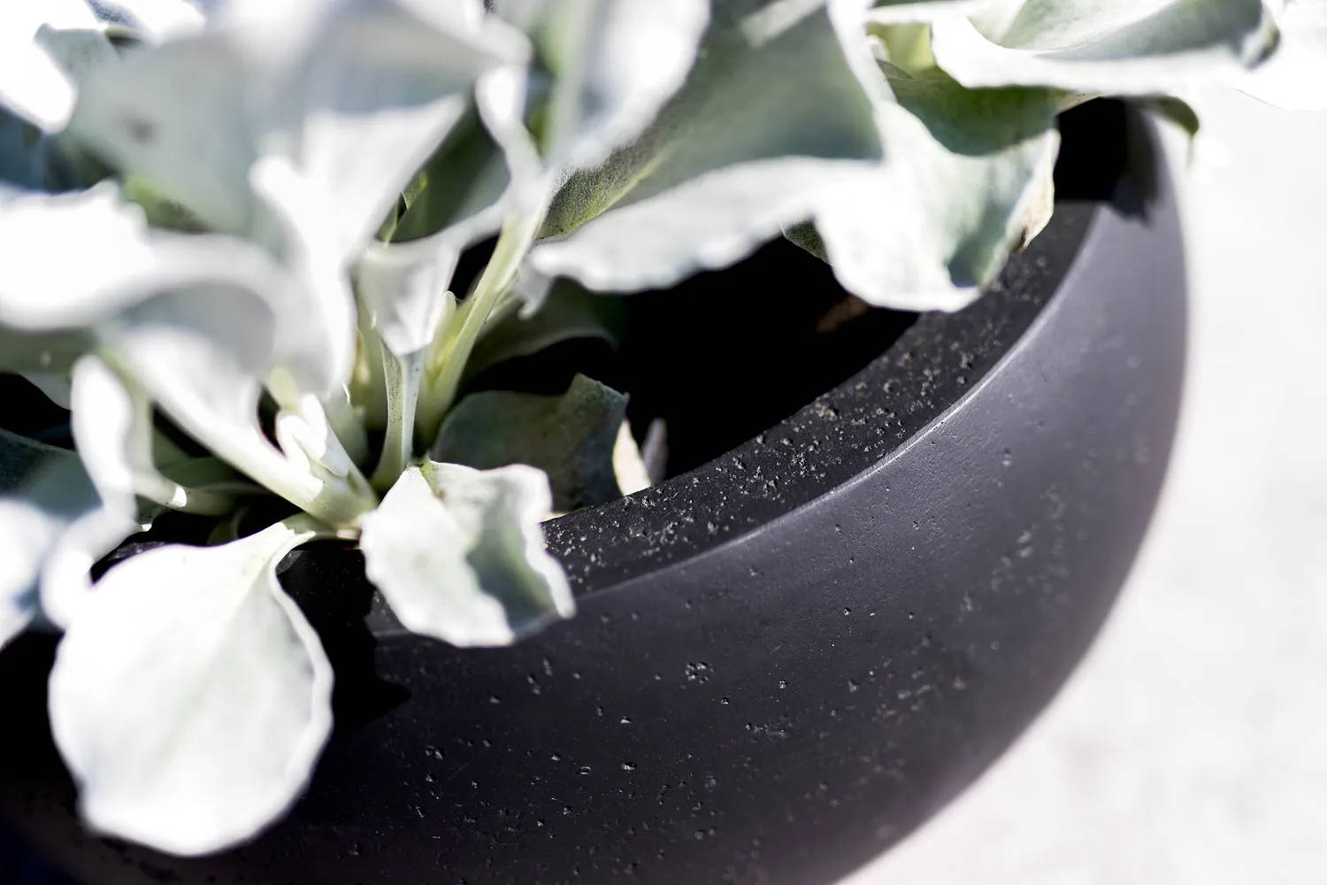 Grigio Low Balloon - Anthracite