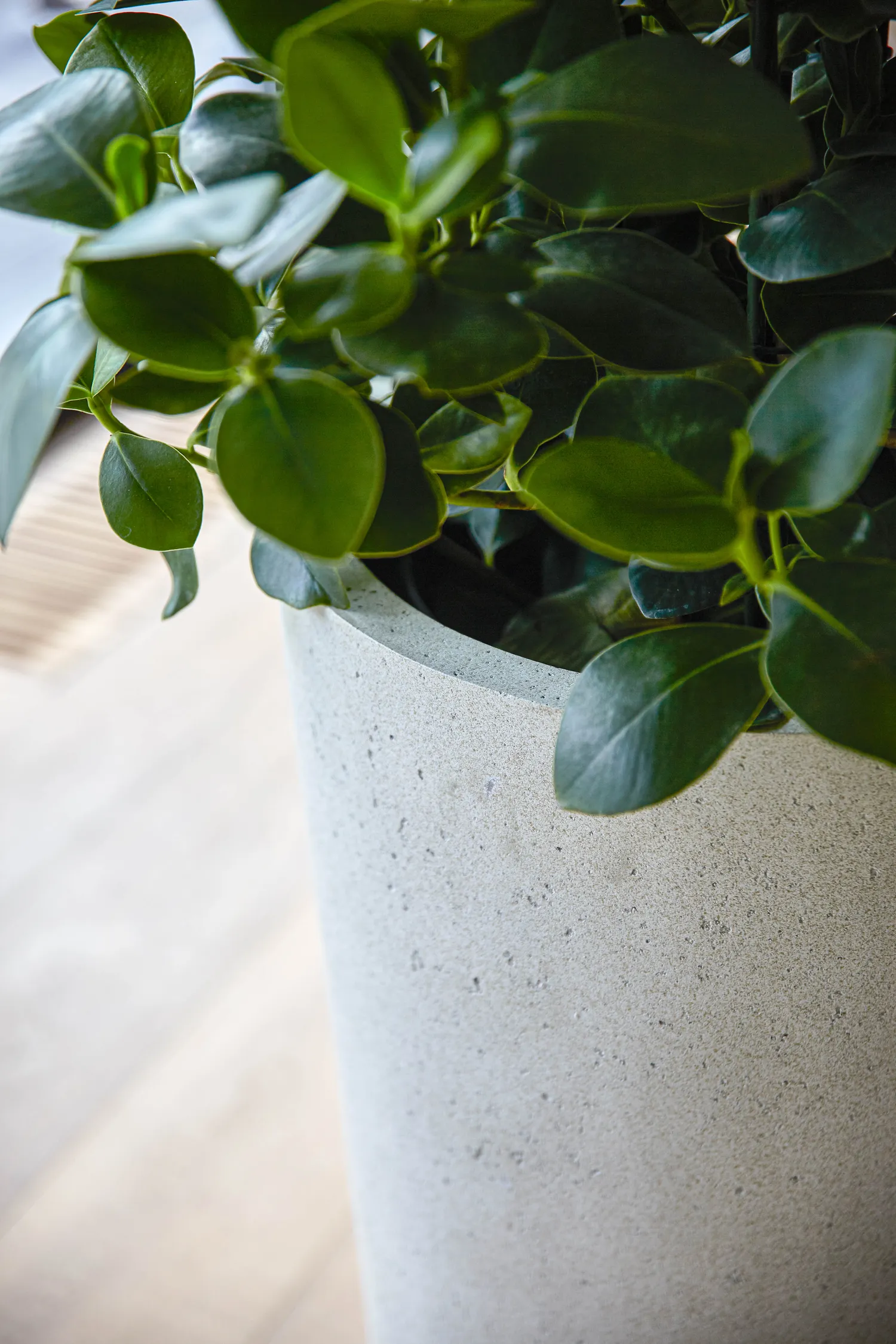 Grigio Vase - Antique White